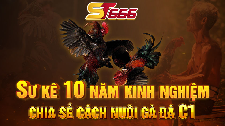 Sư Kê 10 Năm Kinh Nghiệm Chia Sẻ Cách Nuôi Gà Đá C1